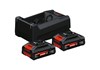 Bosch Akkuset 2x EXBA18V-40 4,0Ah 1x GAL12/18v-80